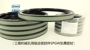 探秘东晟密封件 打造工业密封领域的标杆品牌
